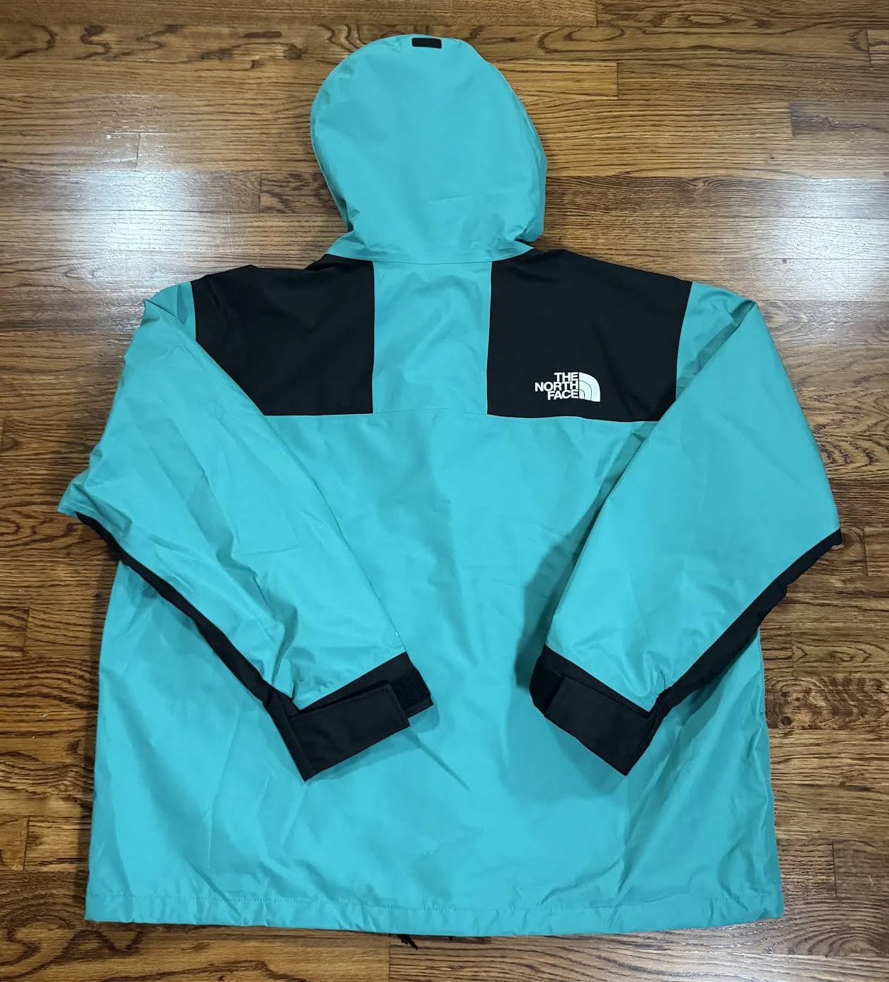 The North Face '86 Porcelain Green Futurelight Mountain